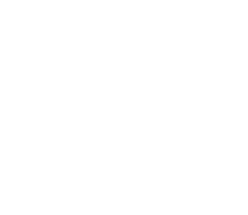 diagnostico y desarrollo organizacional